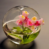 15cm Round Glass Globe Vase Terrarium Plant Container