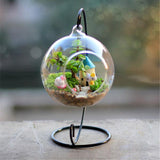 Hanging Round Glass Vase Terrarium Plant Container with Stand