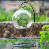 Sinotex Hanging Glass Vase Terrarium Plant Container with Stand