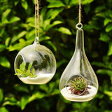 Hanging Glass Globe Terrarium Plant Container Vase