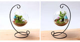 Sinotex Hanging Glass Vase Terrarium Plant Container with Stand