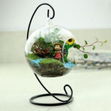 Hanging Round Glass Vase Terrarium Plant Container with Stand